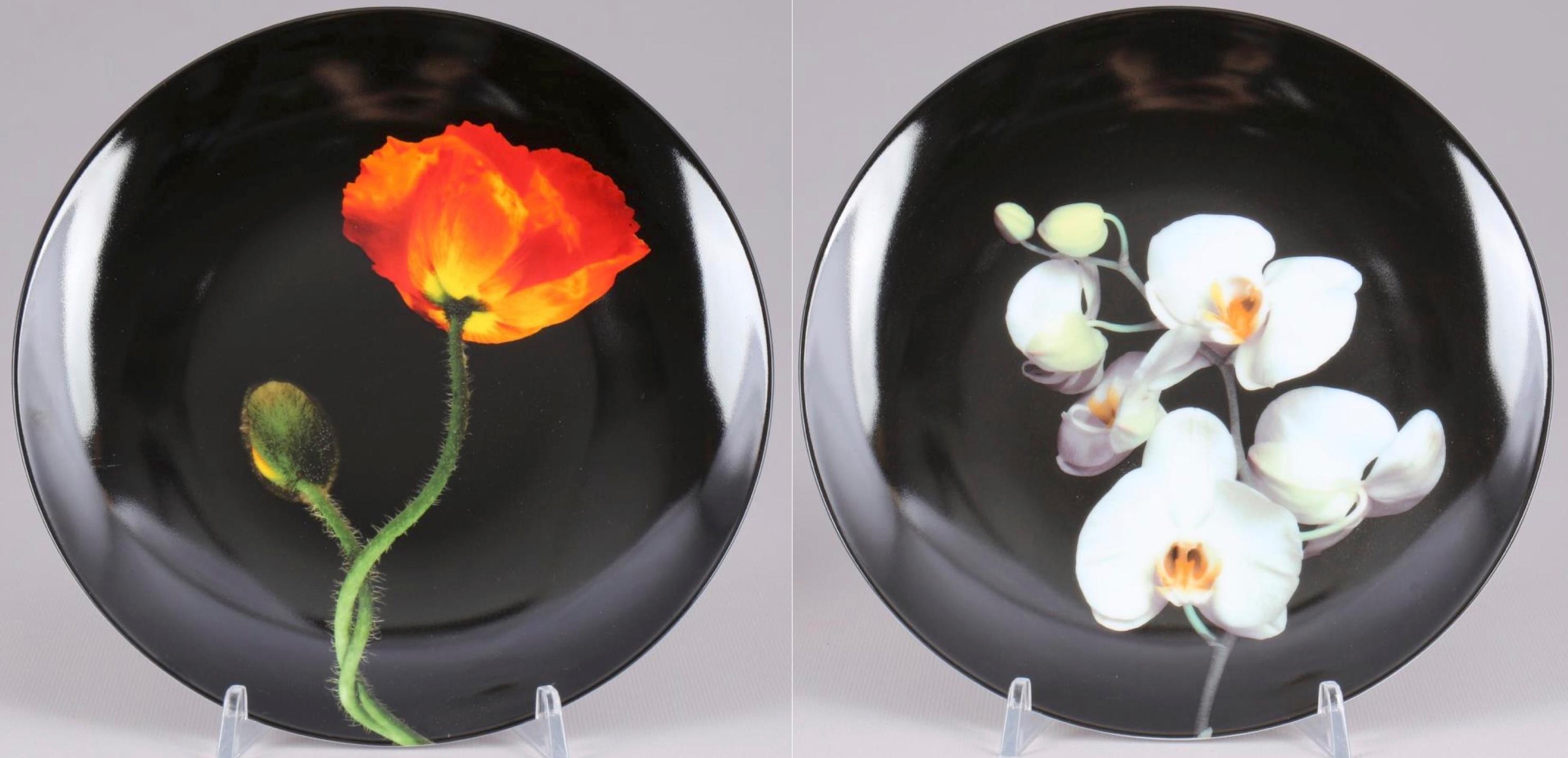Poppy & Orchid - Art de Robert Mapplethorpe