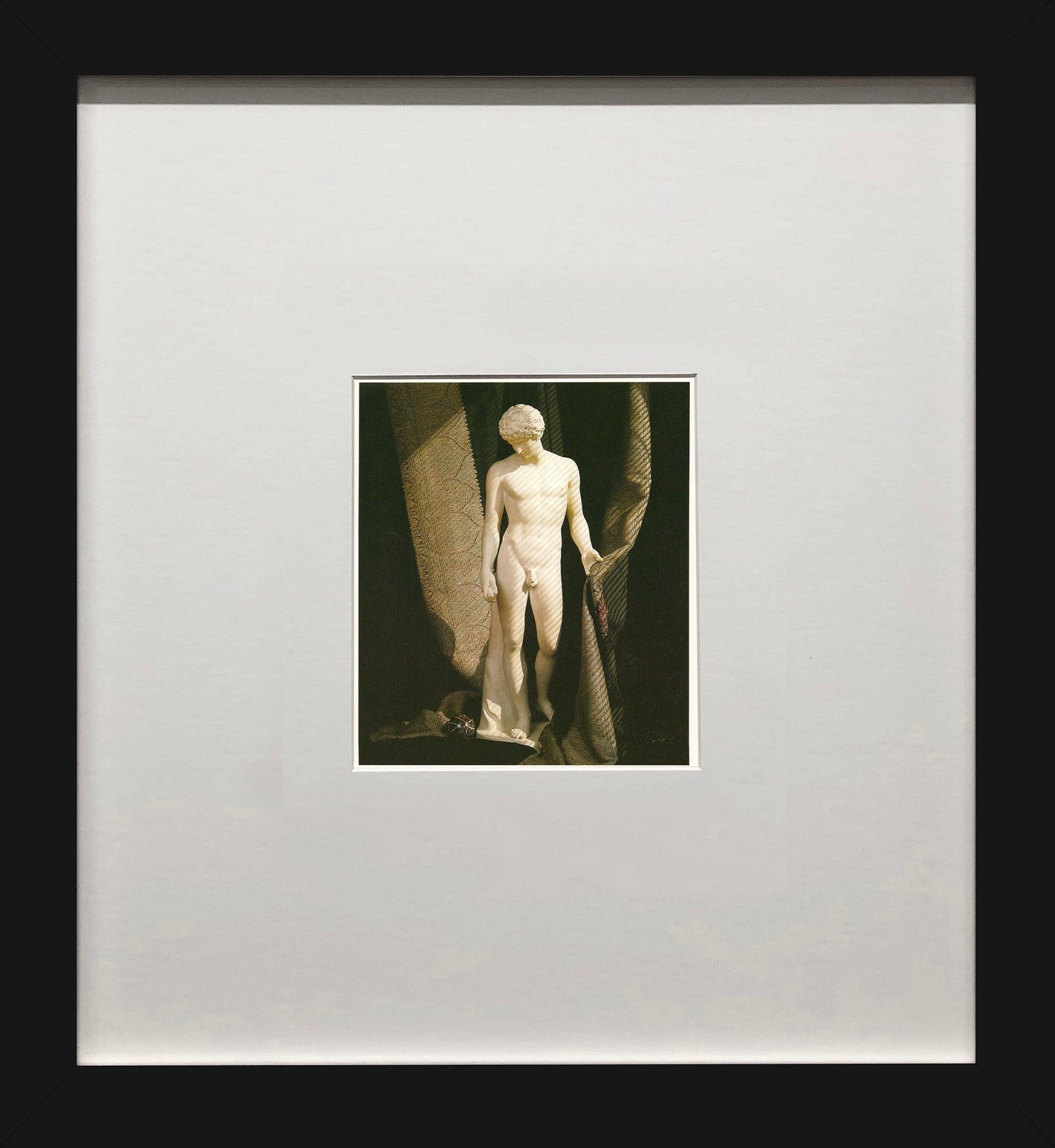 Cette image évocatrice de Robert Mapplethorpe, intitulée Antinoüs, reflète la Revere du photographe pour la beauté classique et les formes sculpturales. La statue d'Antinoüs, le célèbre compagnon d'Hadrien, est partiellement drapée, créant un jeu