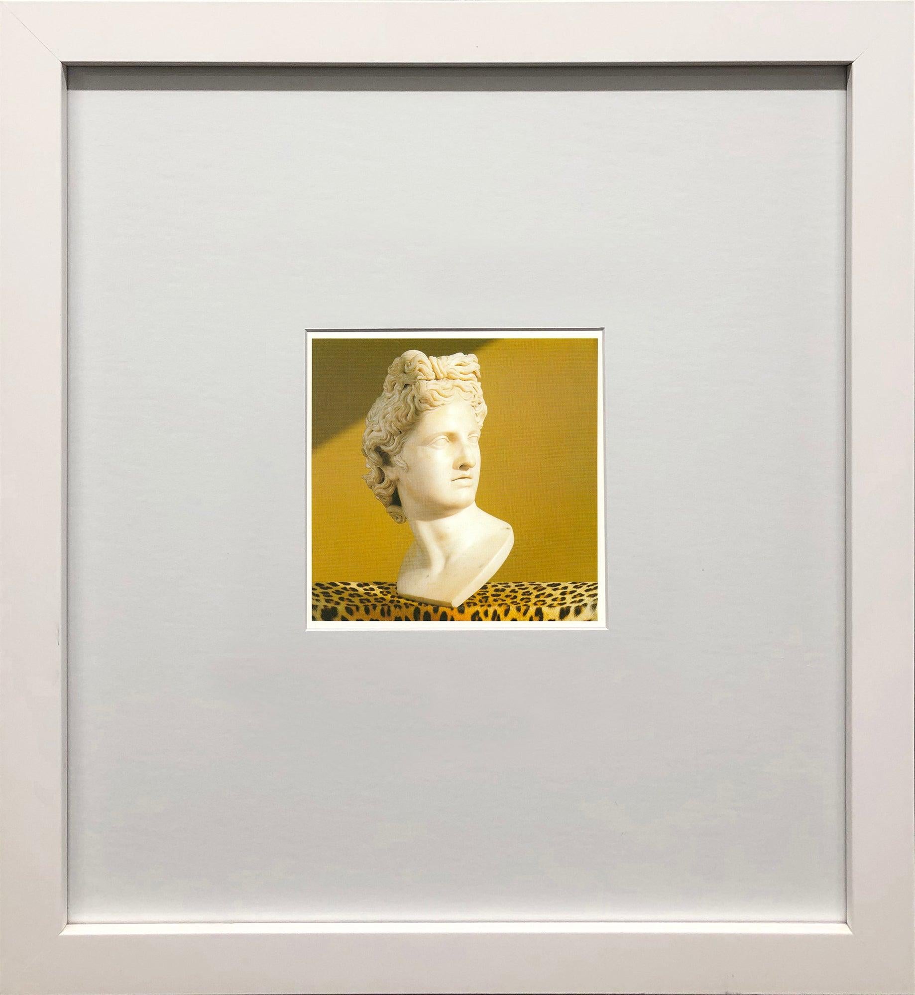 Esta impactante imagen de Robert Mapplethorpe, titulada Apolo, procede de su colección de 1994, publicada por la editorial teNeues e impresa en Alemania. En esta obra, Mapplethorpe capta la escultura clásica de Apolo con reverencia y precisión,