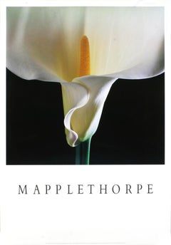 Robert Mapplethorpe-Calla Lilly-39" x 27"-Poster-Photography