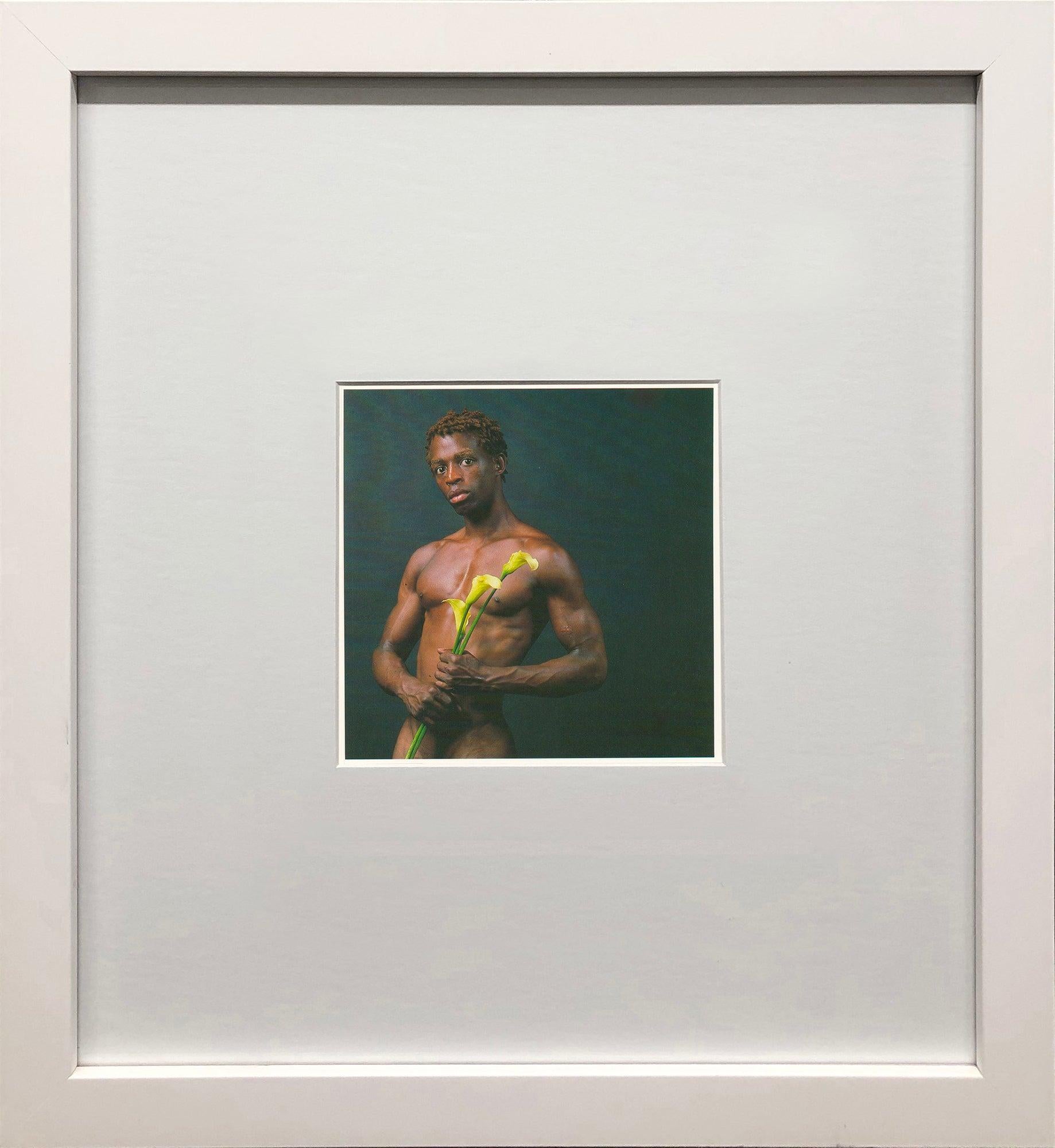 Dennis Speight with Calla Lilies est une image saisissante du célèbre photographe Robert Mapplethorpe, présentée à l'origine dans un coffret publié en 1994 par teNeues Publishing Company et imprimé en Allemagne. Cet élégant portrait juxtapose la