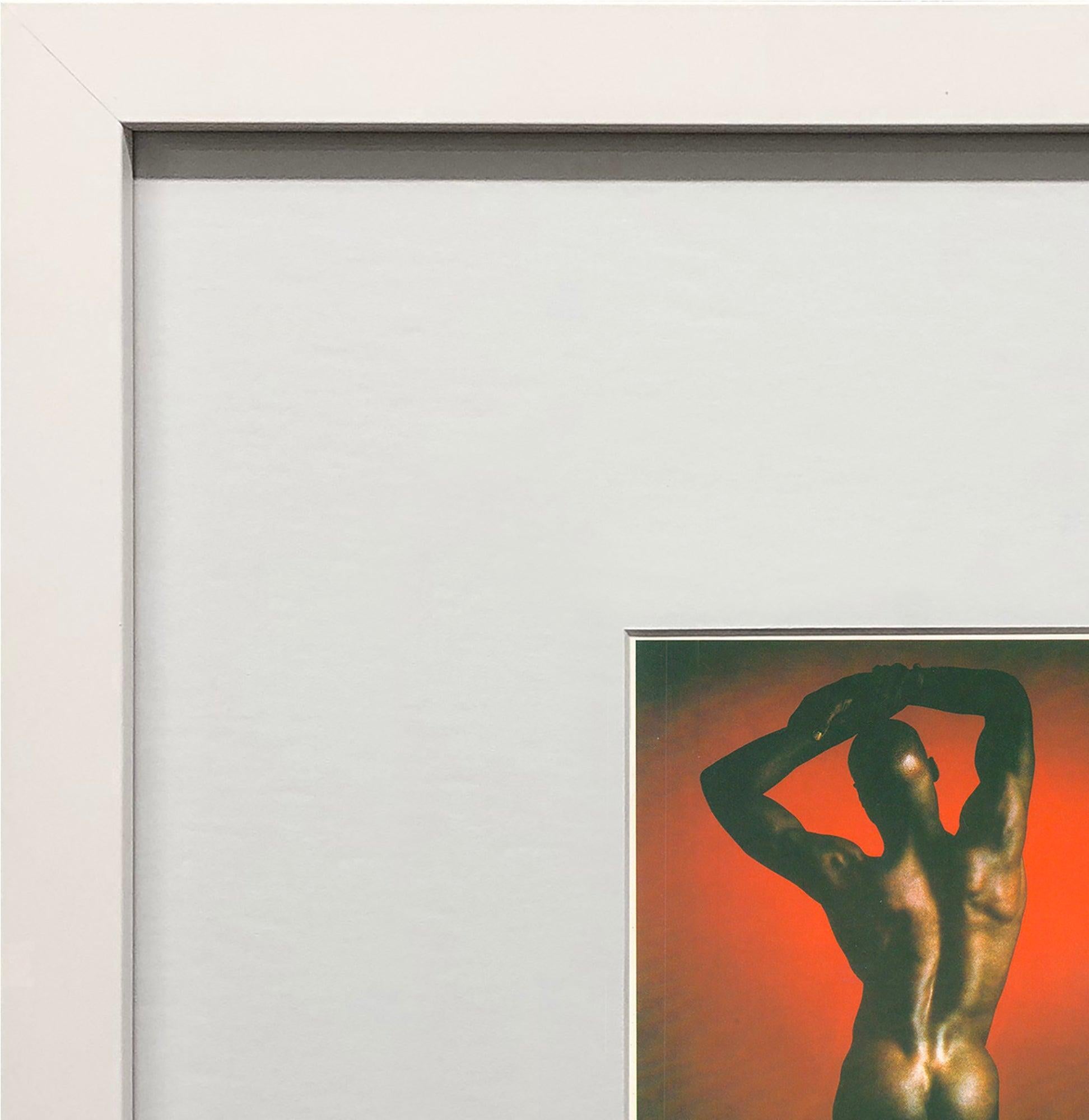 Robert Mapplethorpe 