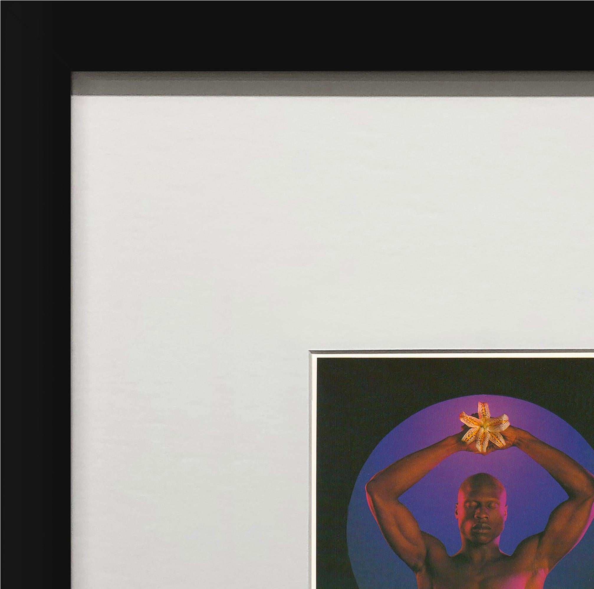 Robert Mapplethorpe 