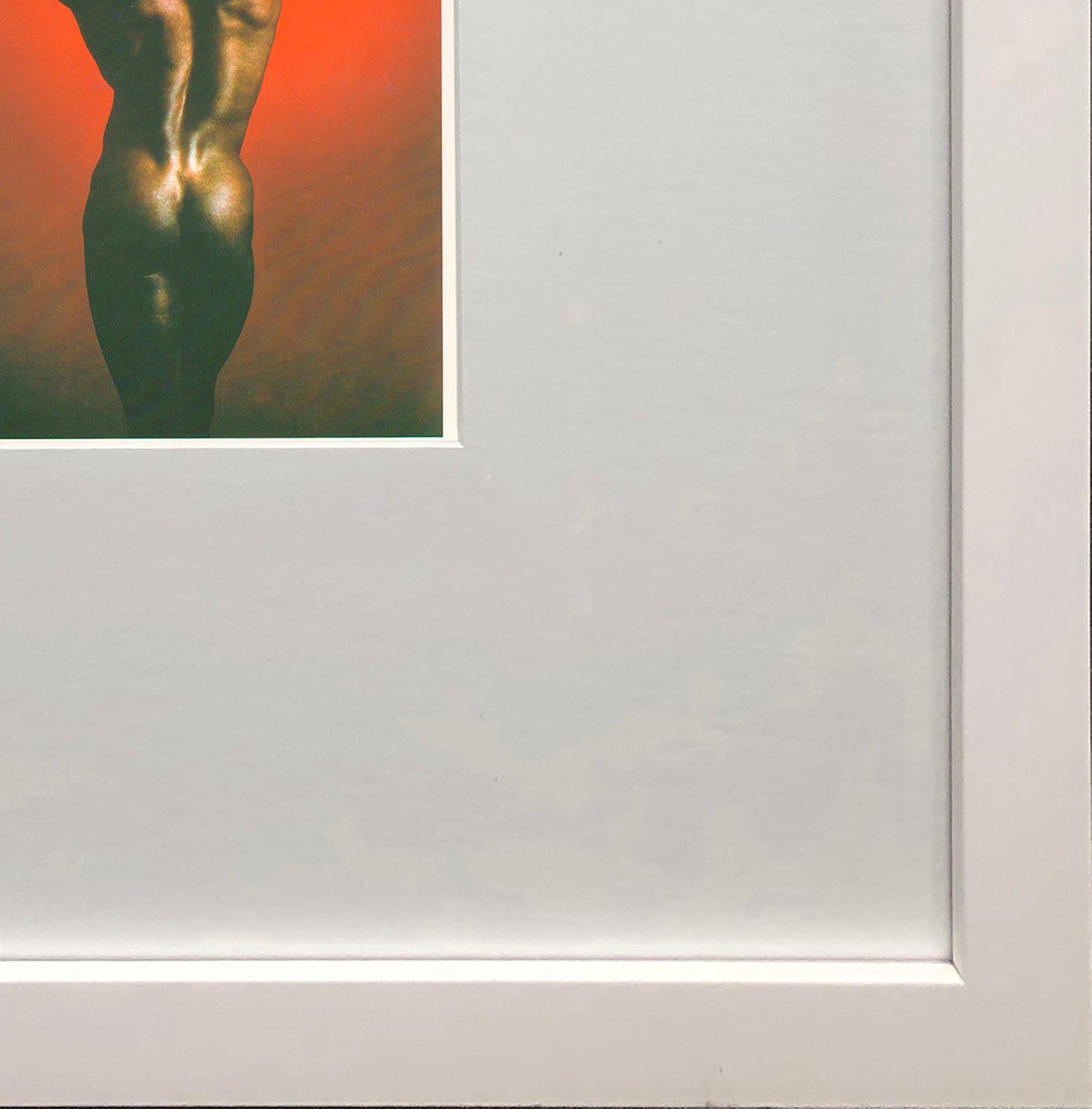 Robert Mapplethorpe 