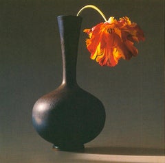 Robert Mapplethorpe 'Tulip' 1994