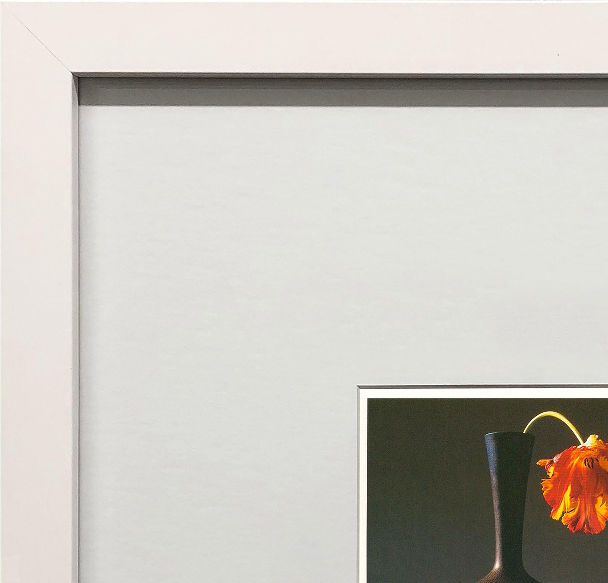 Robert Mapplethorpe 