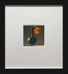 Robert Mapplethorpe "Tulipe" 1994
