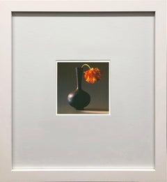 Robert Mapplethorpe "Tulipe" 1994