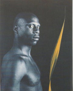 Robert Mapplethorpe 'Ohne Titel, 1985' 1991