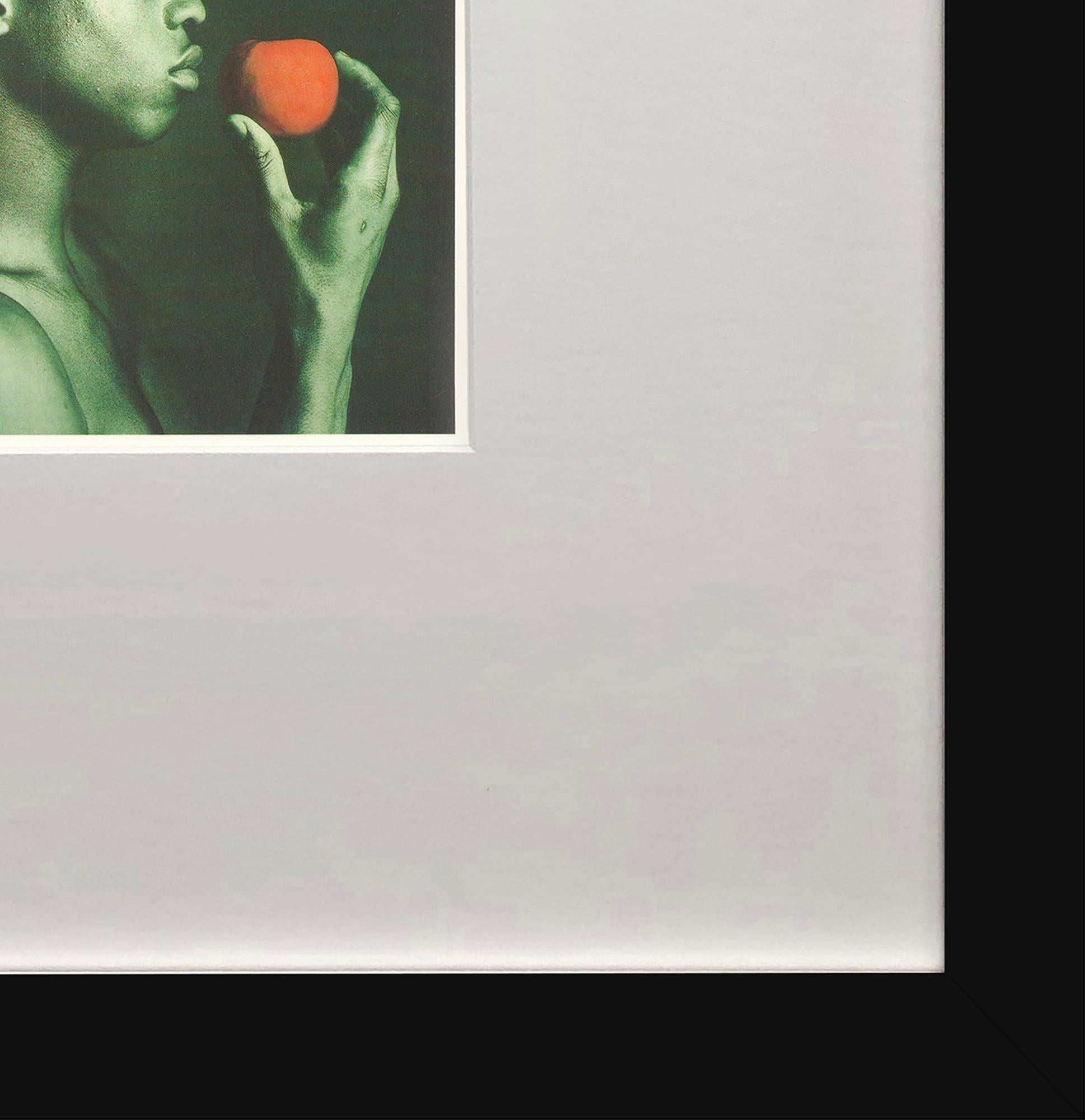 Robert Mapplethorpe 
