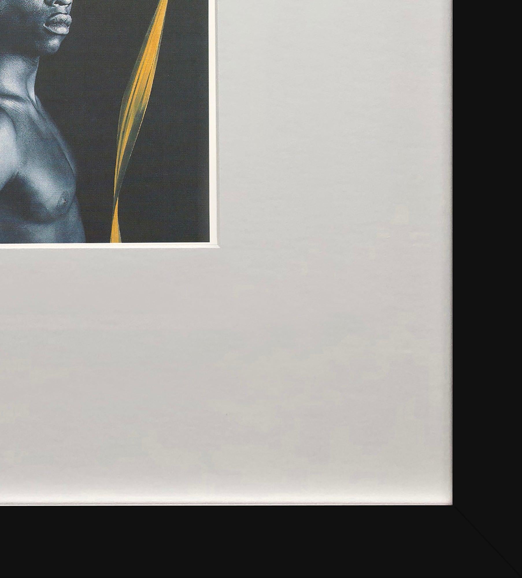 Robert Mapplethorpe 