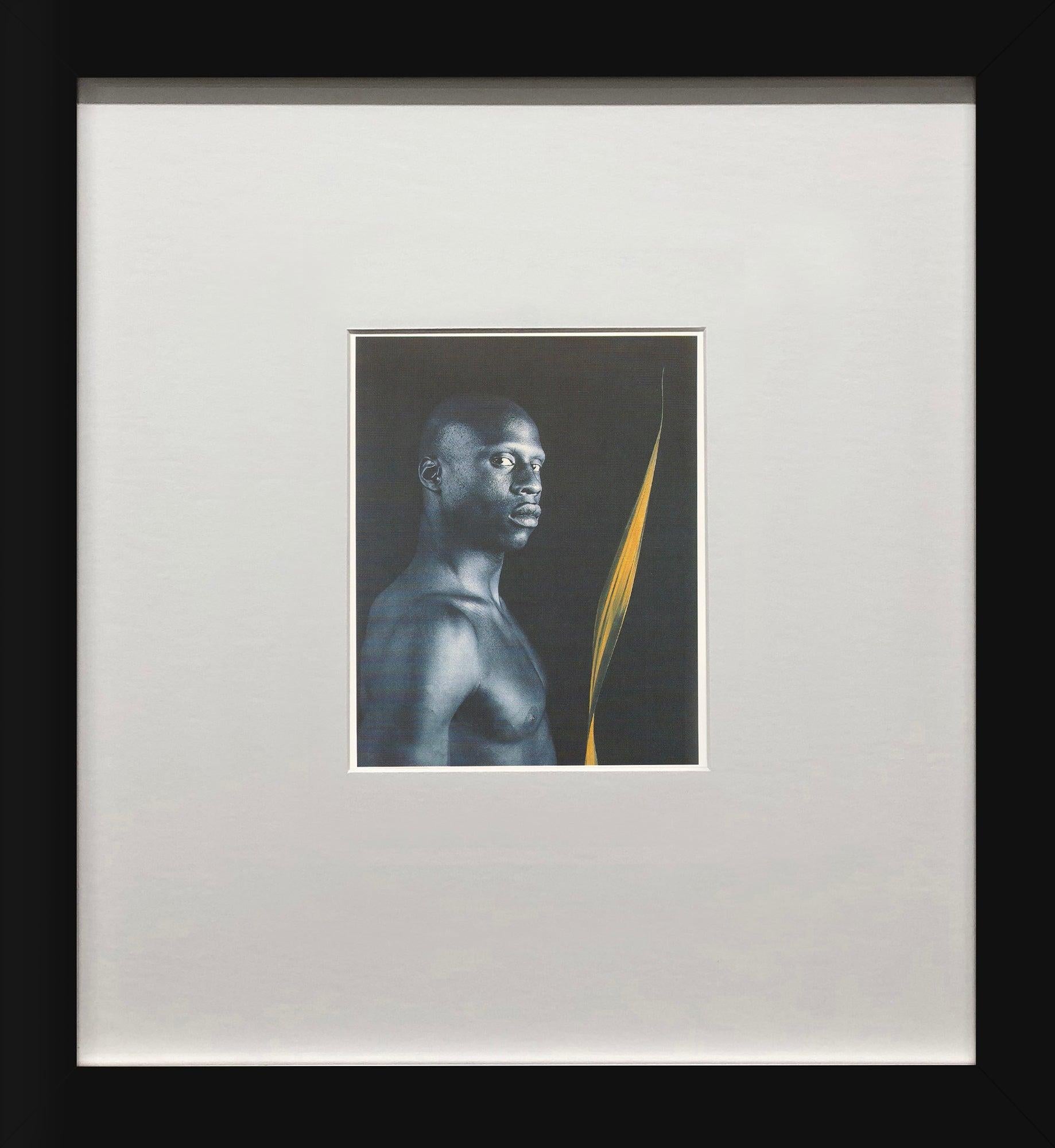 Cette œuvre présente Untitled, 1985 de Robert Mapplethorpe, tiré d'un coffret de 1991 publié par teNeues Publishing Company et imprimé en Allemagne. L'image reflète la précision en noir et blanc caractéristique de Mapplethorpe et son exploration