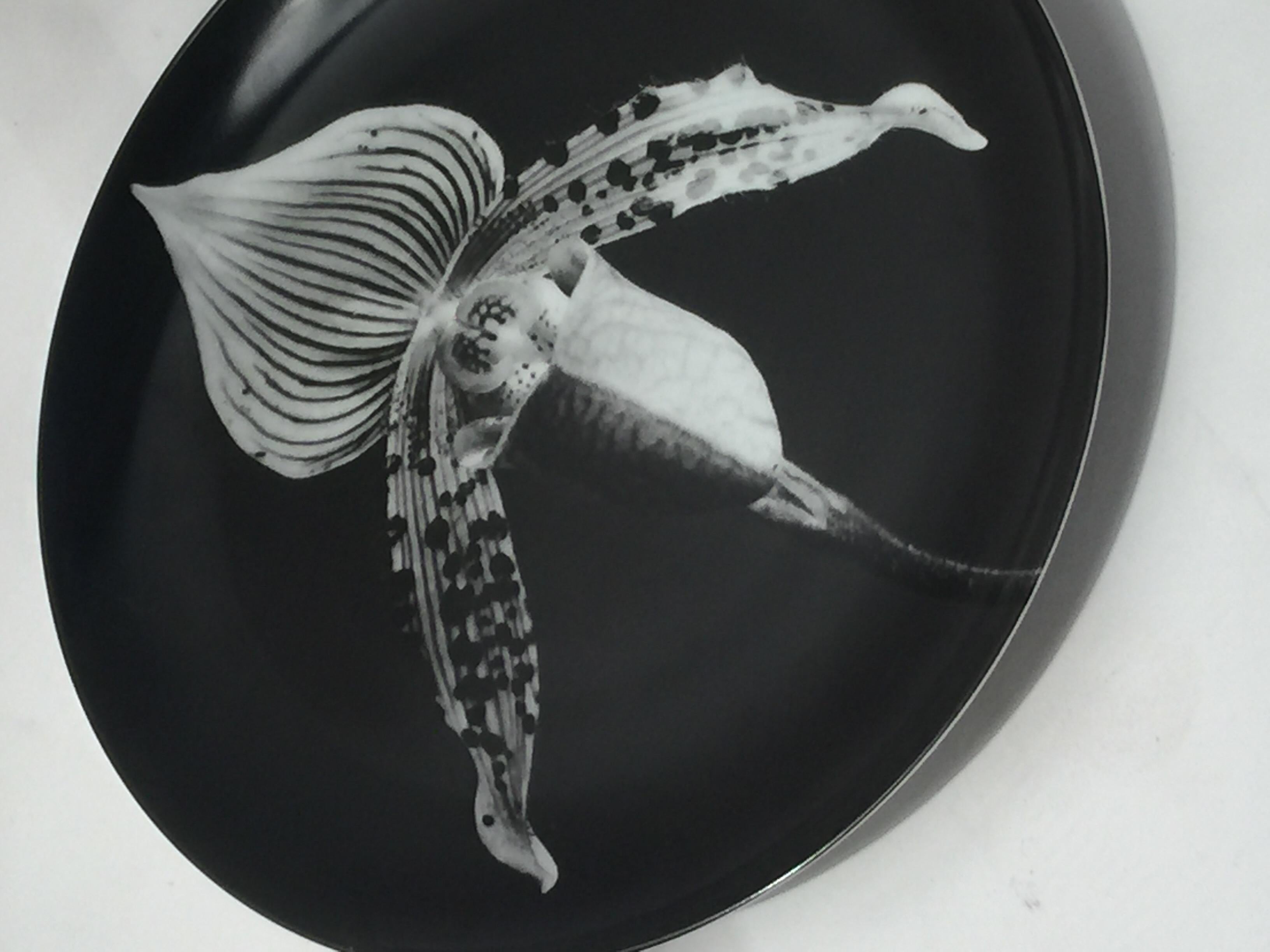 Swid Powell plate featuring photography from Robert Mapplethorpe. This features a black and white close up of an orchid.