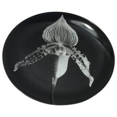 Robert Mapplethrope "Orchid" 1987, Swid Powell