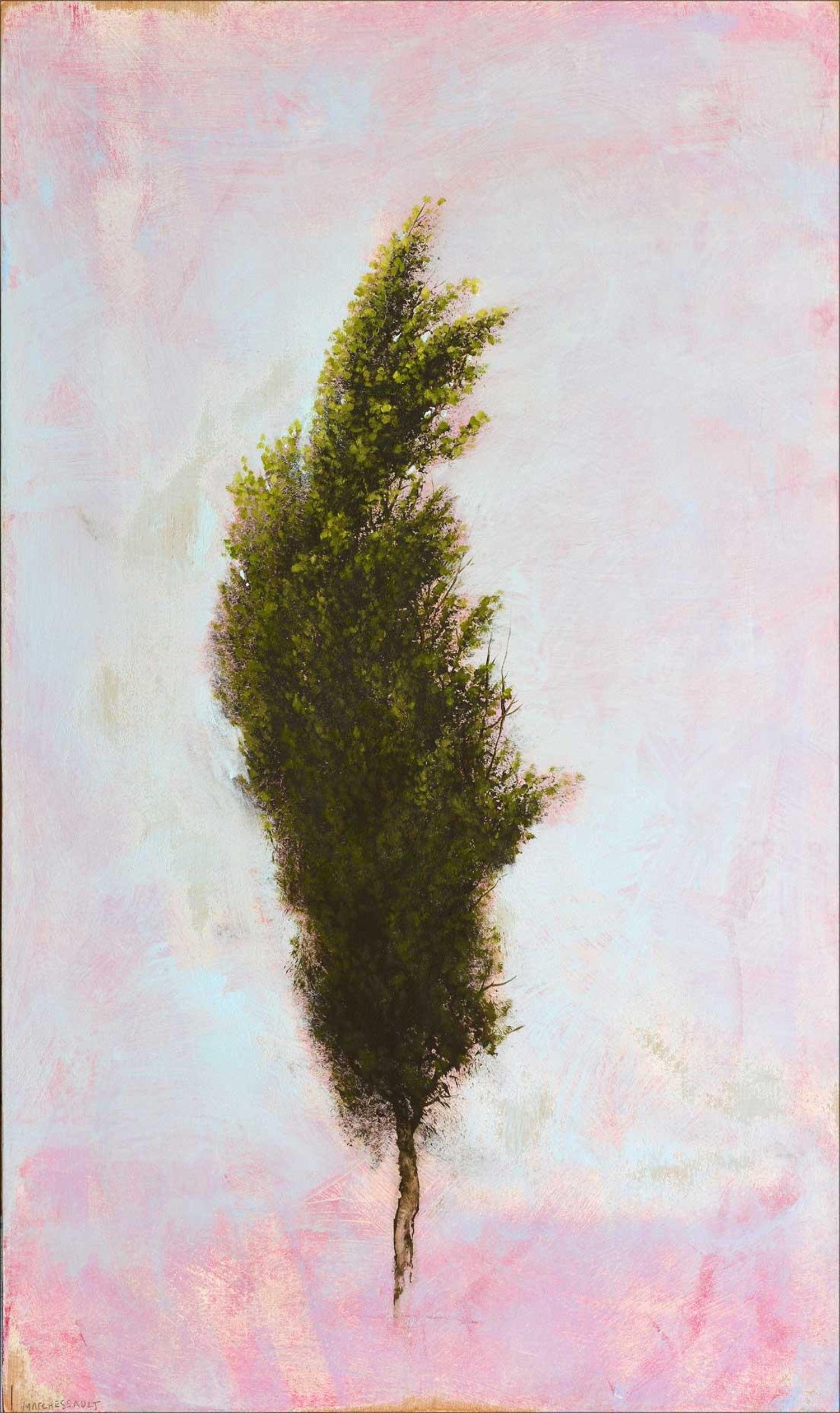 Robert Marchessault Abbrugio Abstract Realist Cypress Tree