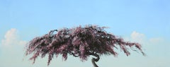 Used Indus