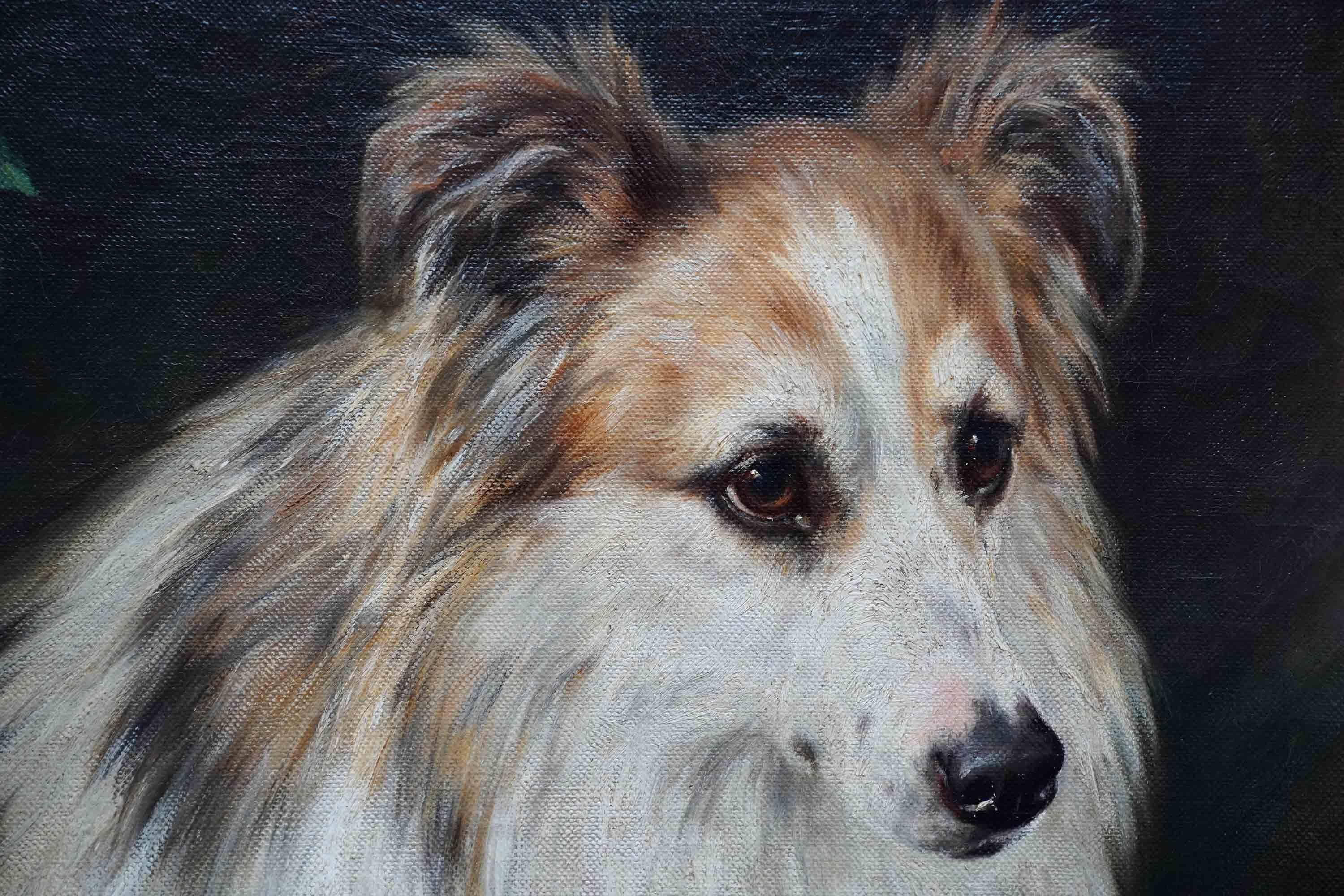 Colli e Terrier davanti a una finestra aperta - pittura ad olio britannica di arte canina vittoriana 2