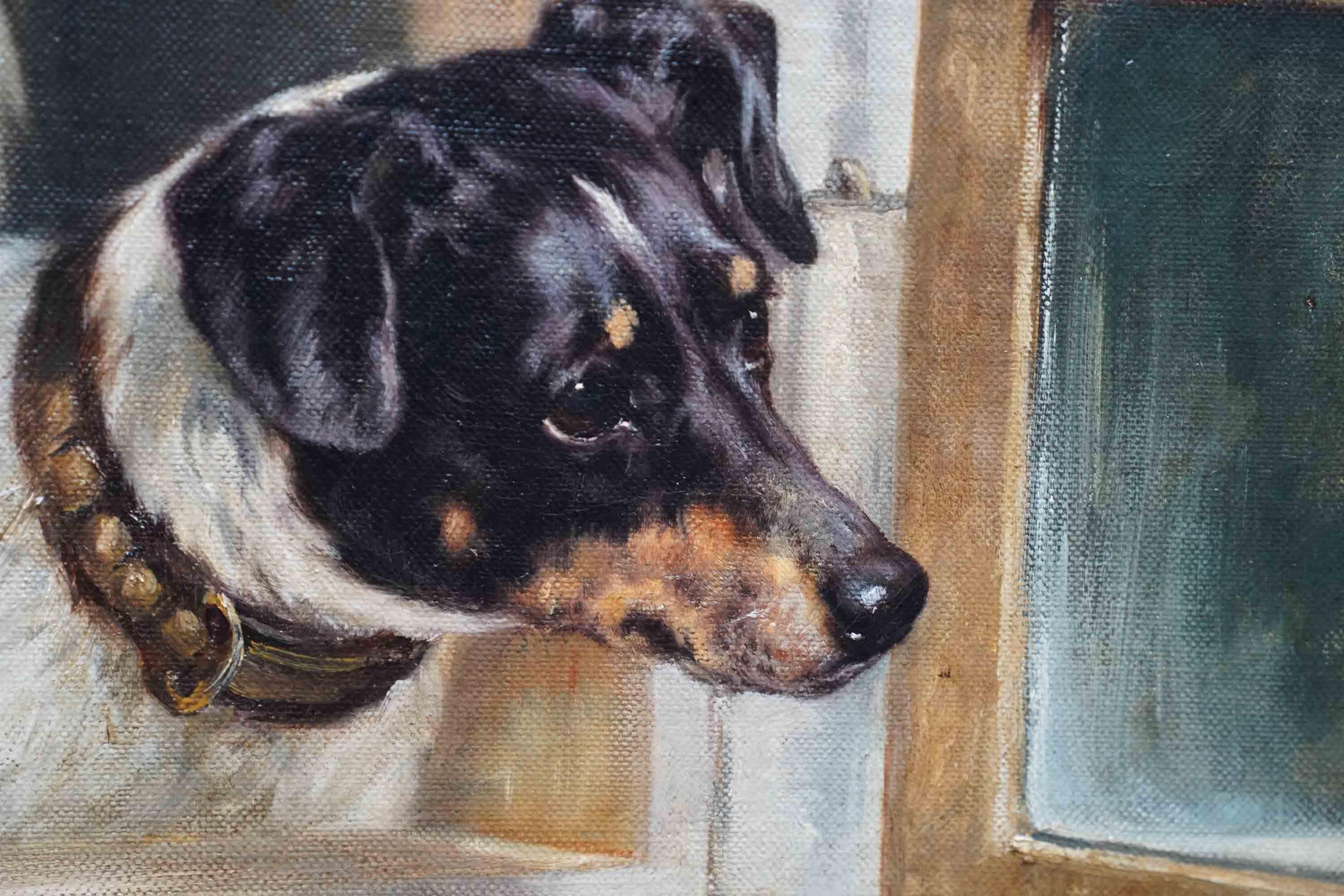 Collie and Terrier at an Open Window - British Victorian dog art oil painting 2