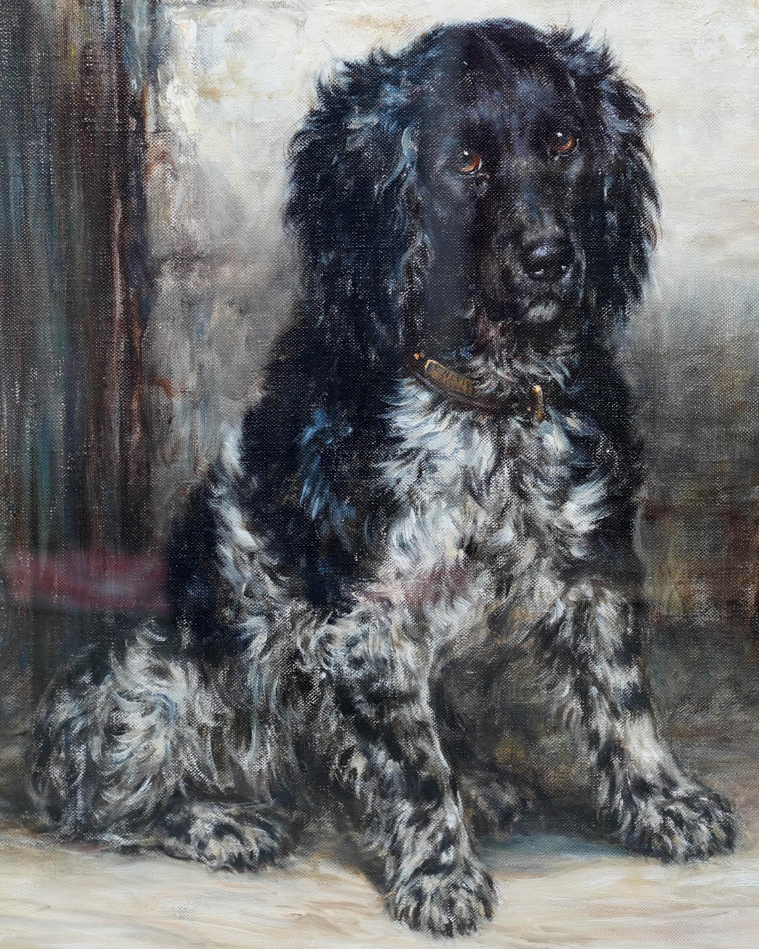 This gorgeous British Edwardian dog portrait oil painting is by noted animal artist Robert Morley. Painted circa 1910 the composition is of a black and white spaniel, sitting down, against a white wall and door way. The dog has a black face and