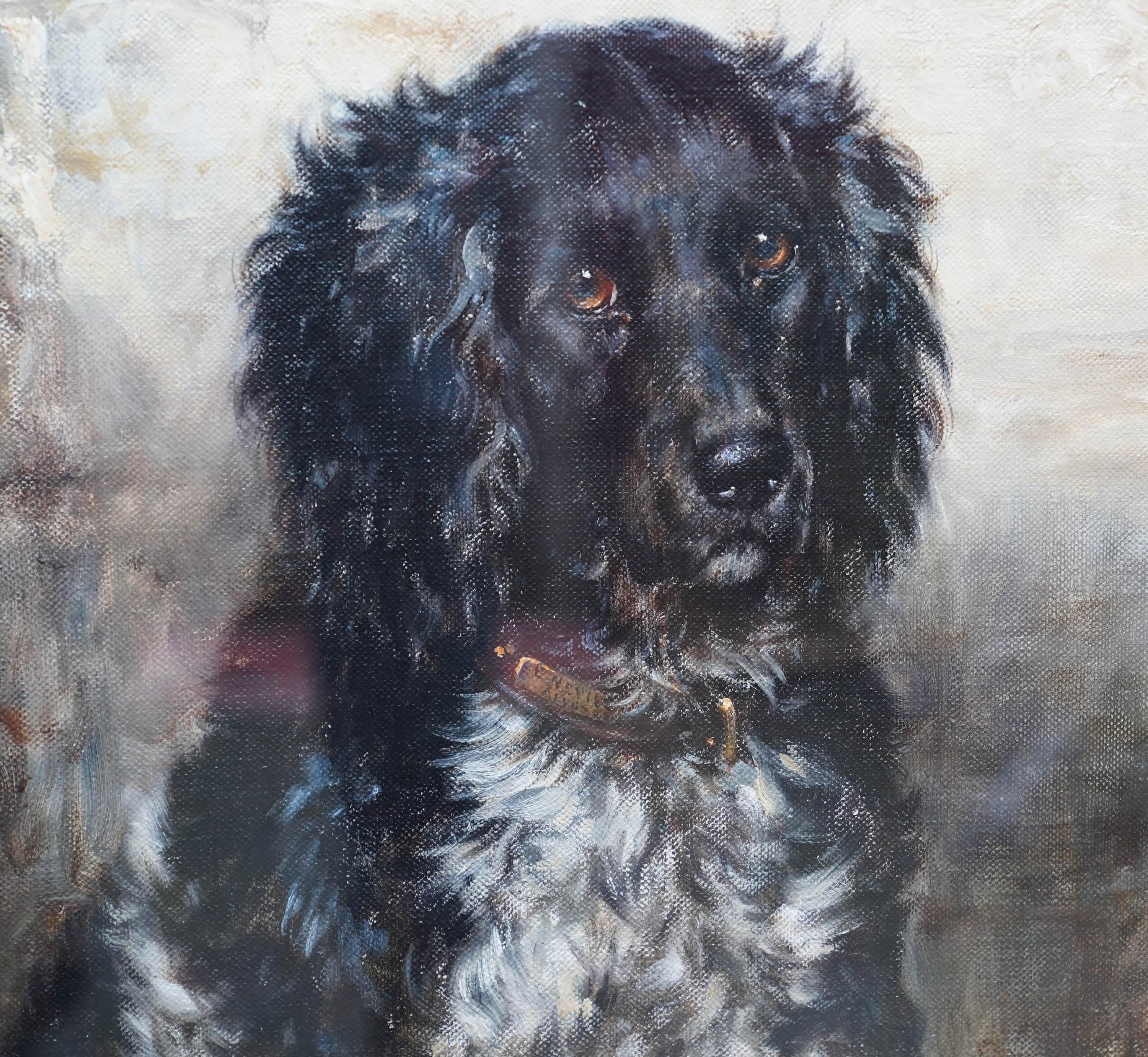 Portrait of a Spaniel - British Edwardian art dog portrait oil painting  For Sale 1