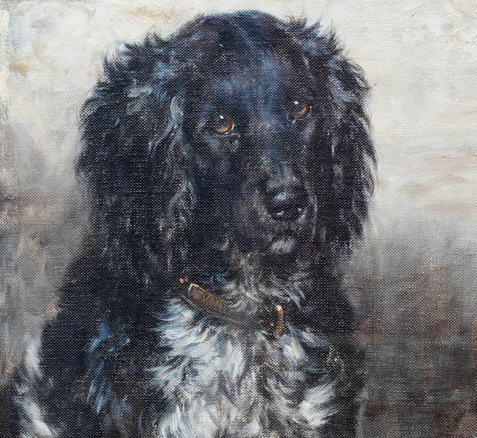 Portrait of a Spaniel - British Edwardian art dog portrait oil painting  For Sale 2