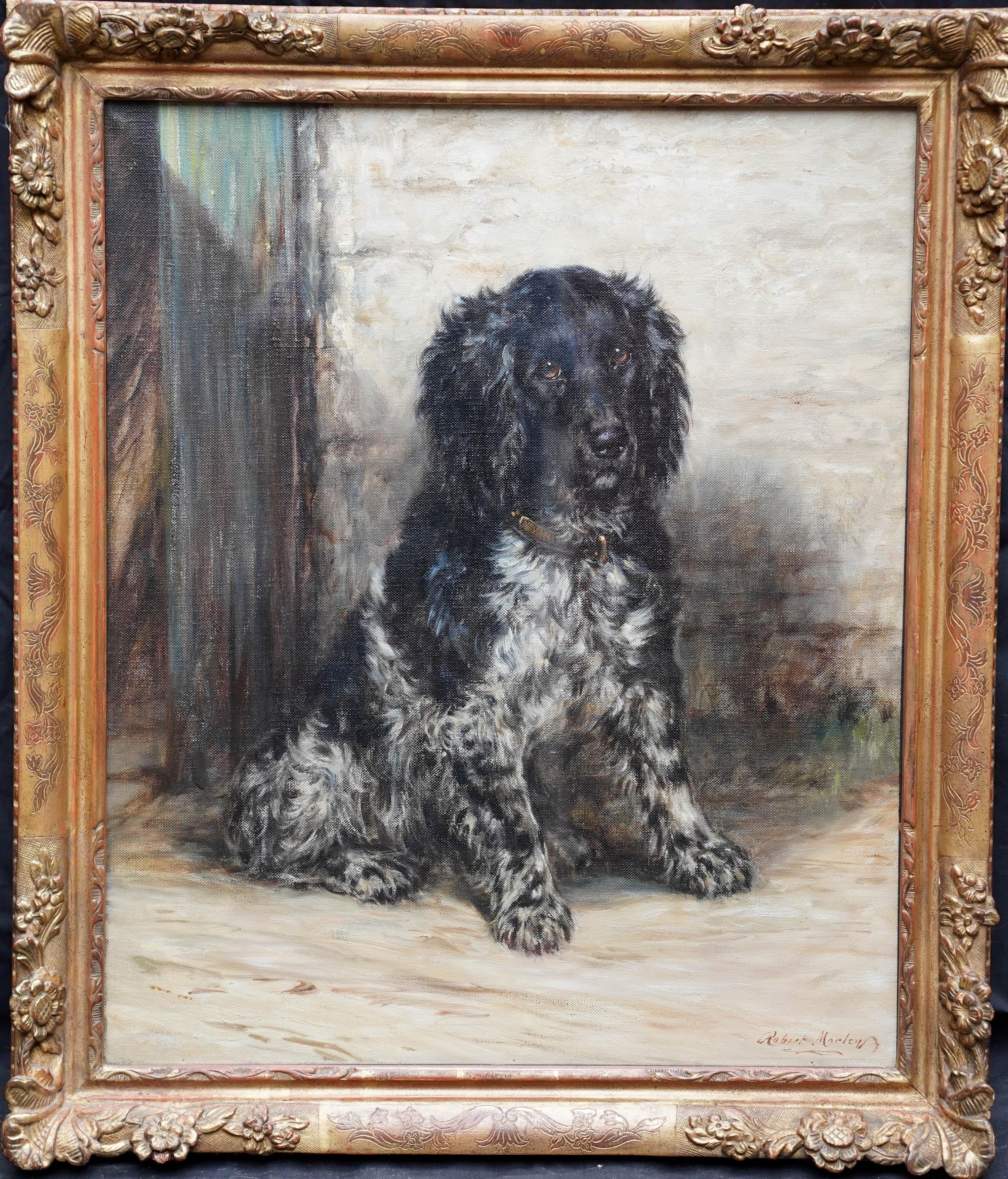 Robert Morley Animal Painting - Portrait of a Spaniel - British Edwardian art dog portrait oil painting 