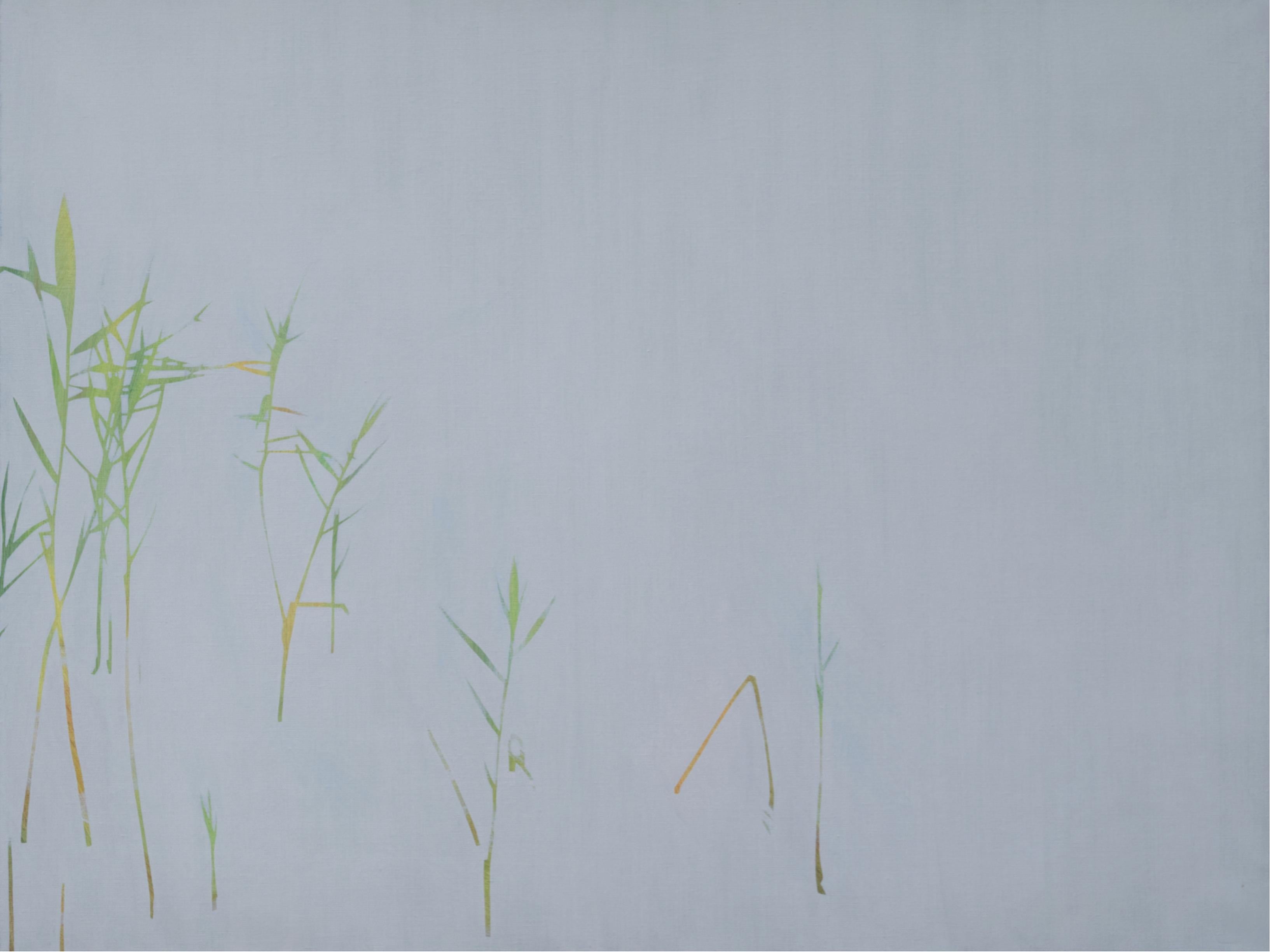 Robert Motelski Abstract Painting - Reeds 15 July 12:56 -  Modern Landscape Oil Painting, Minimalistic, Nature, Lake