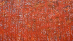 Trees 19 October 11:12 - Modern Nature Painting, Landscape, Forest, Contemplativ