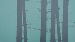 Trees 23 juin 16:22, peinture de paysage moderne, minimaliste, abstraite, forêt