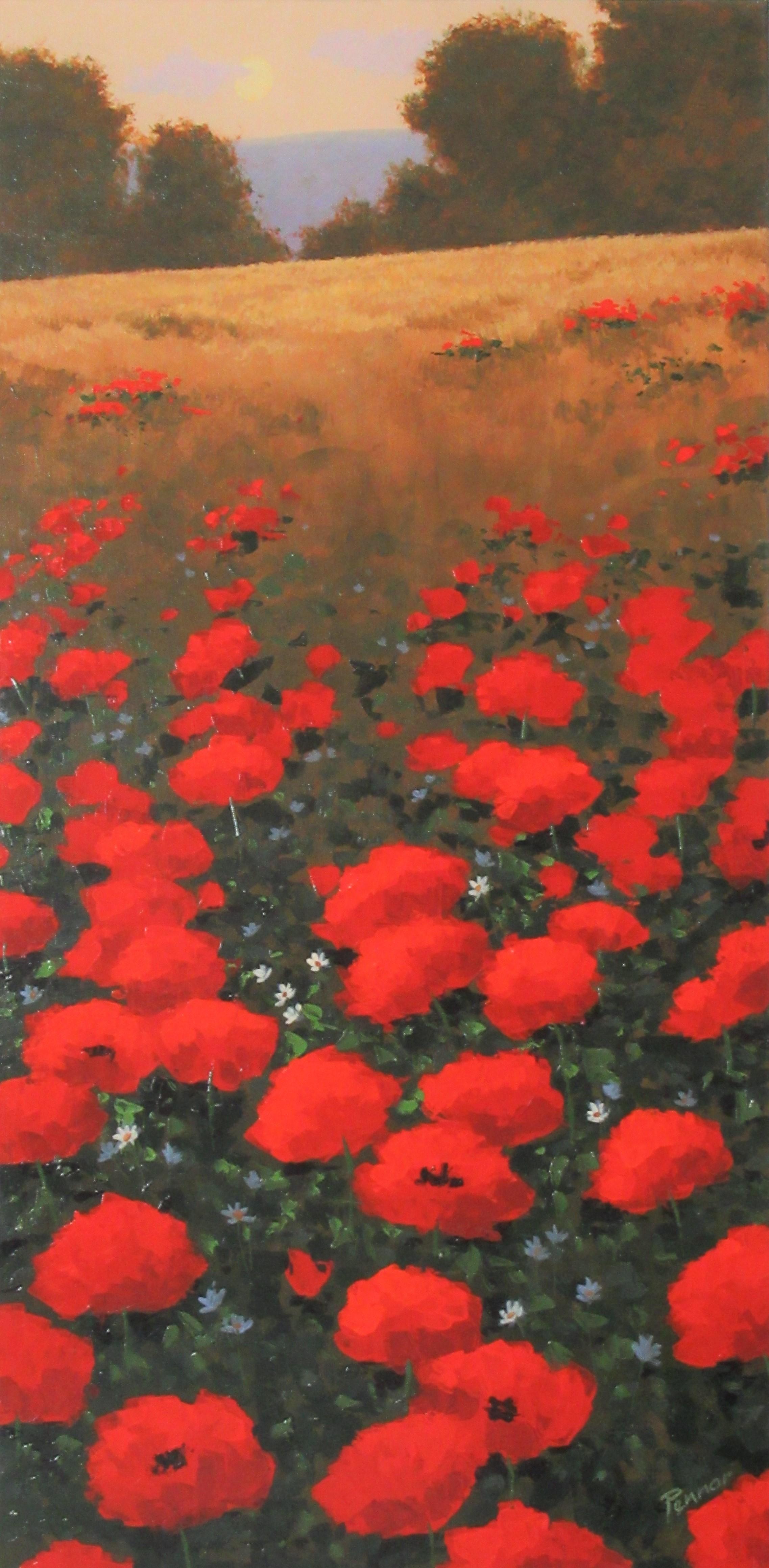Robert Pennor Landscape Painting - Bright Red Poppies, Original Painting