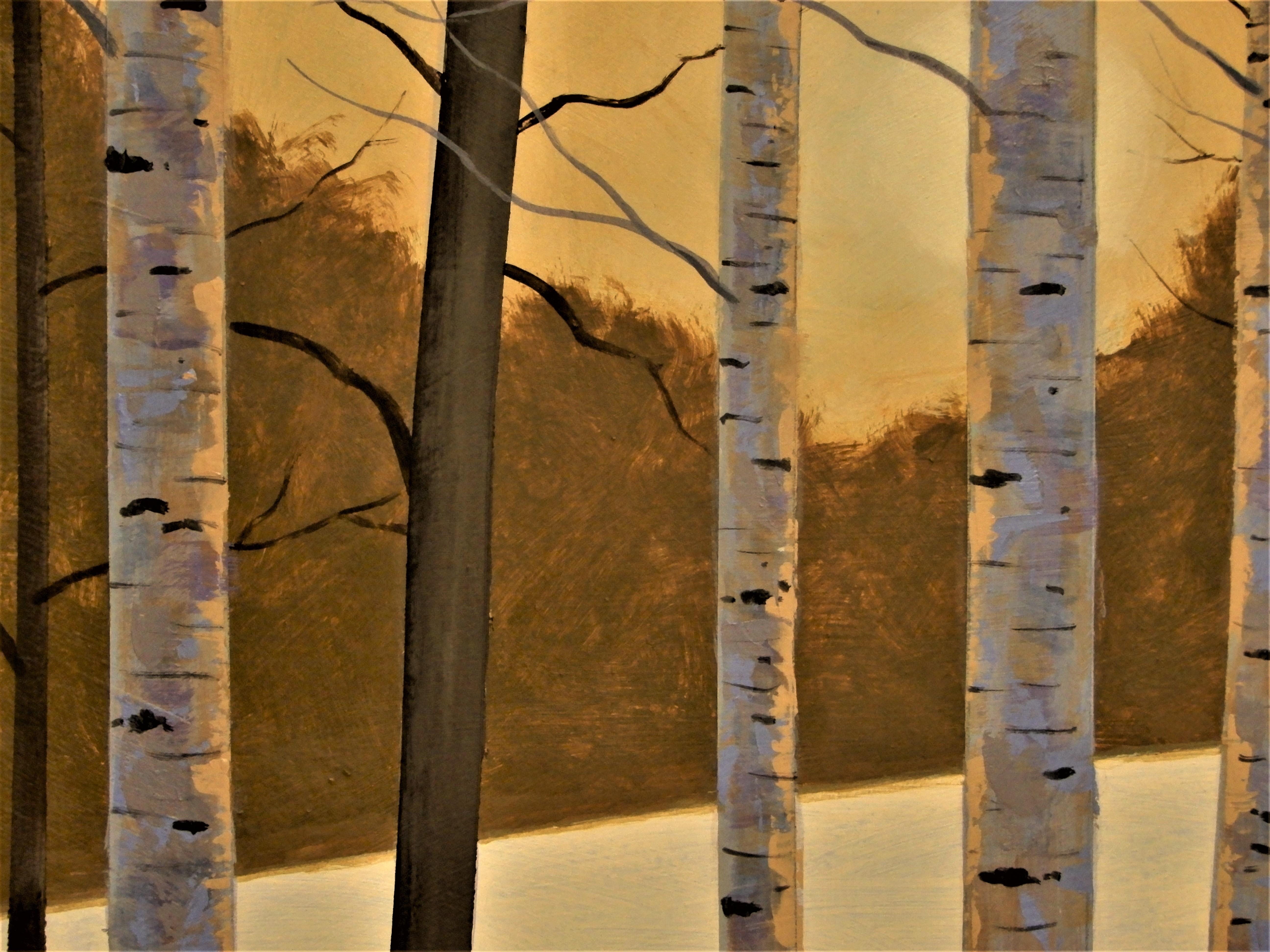 <p>Artist Comments<br>A glowing sunset falls on leafless birch trees in wintertime. 