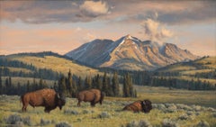 Electric Peak Bulls, Yellowstone