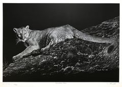 Vintage MOUNTAIN LION