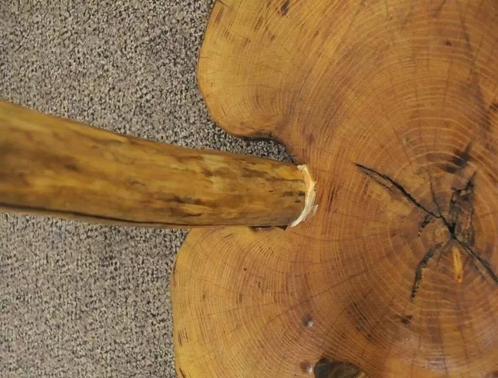 Table d'appoint rustique de Robert Powchik en loupe de bois de ronce à bord vif en vente 1