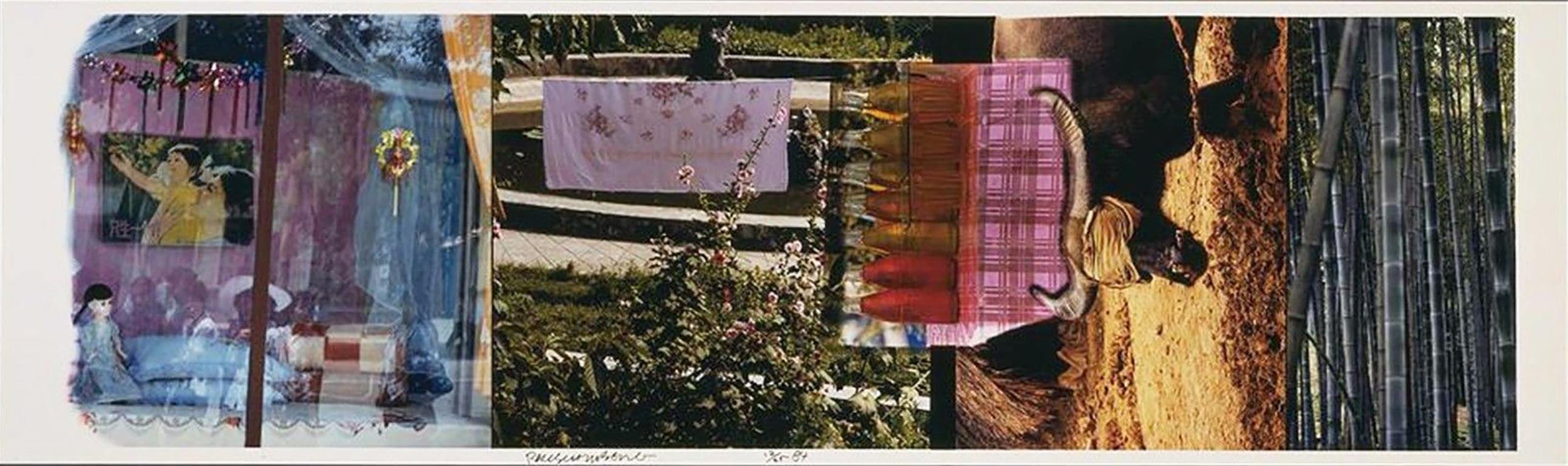 Robert Rauschenberg Figurative Photograph - STUDIES FOR CHINESE SUMMERHALL V