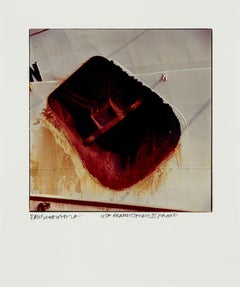 "Study for Chinese Summerhall" 1983  Rauschenberg , 6/30, Suite of ten c prints