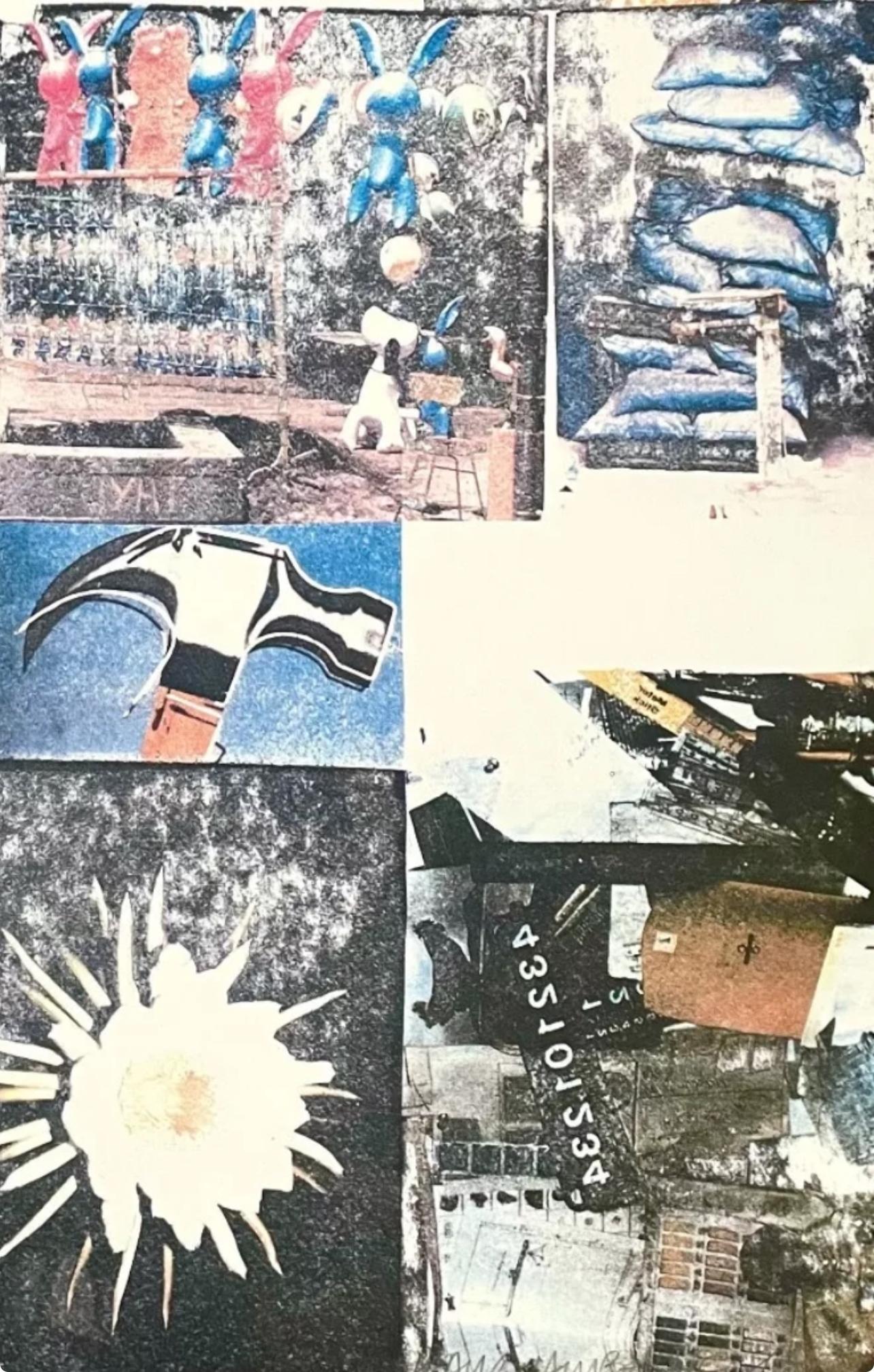 Charms against harms, Robert Rauschenberg For Sale 4