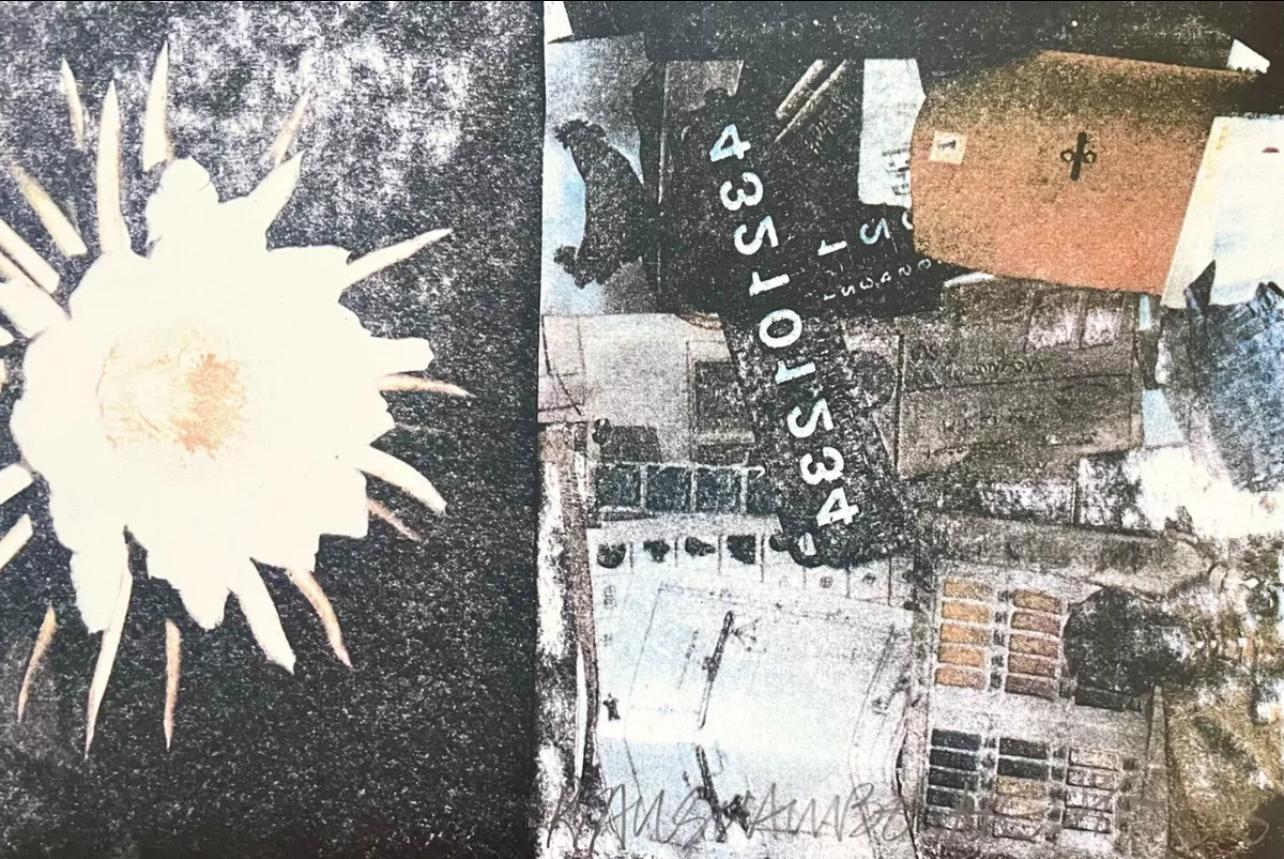 Charms against harms, Robert Rauschenberg For Sale 5