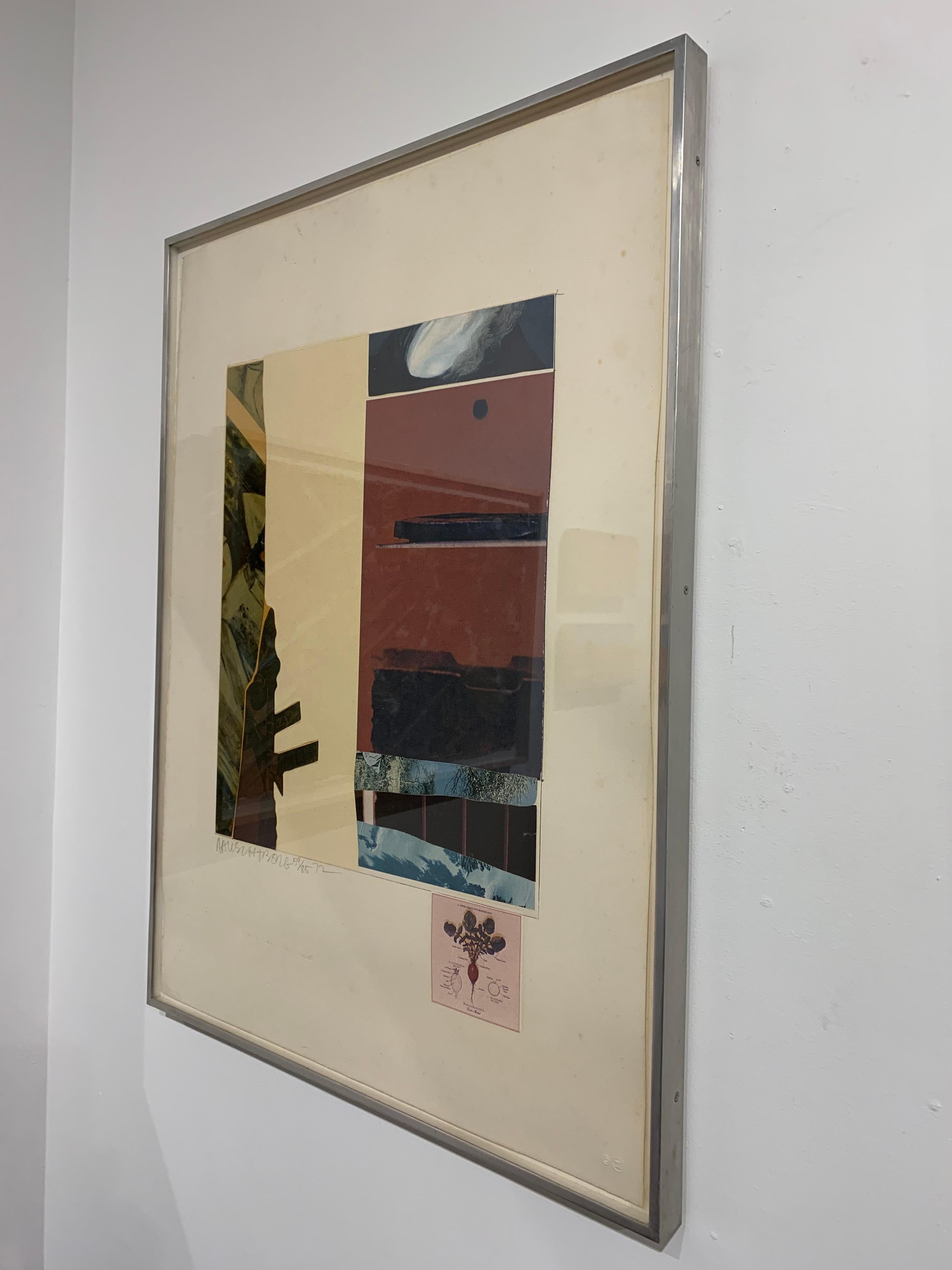 Pferdefedern 13-XI – Print von Robert Rauschenberg
