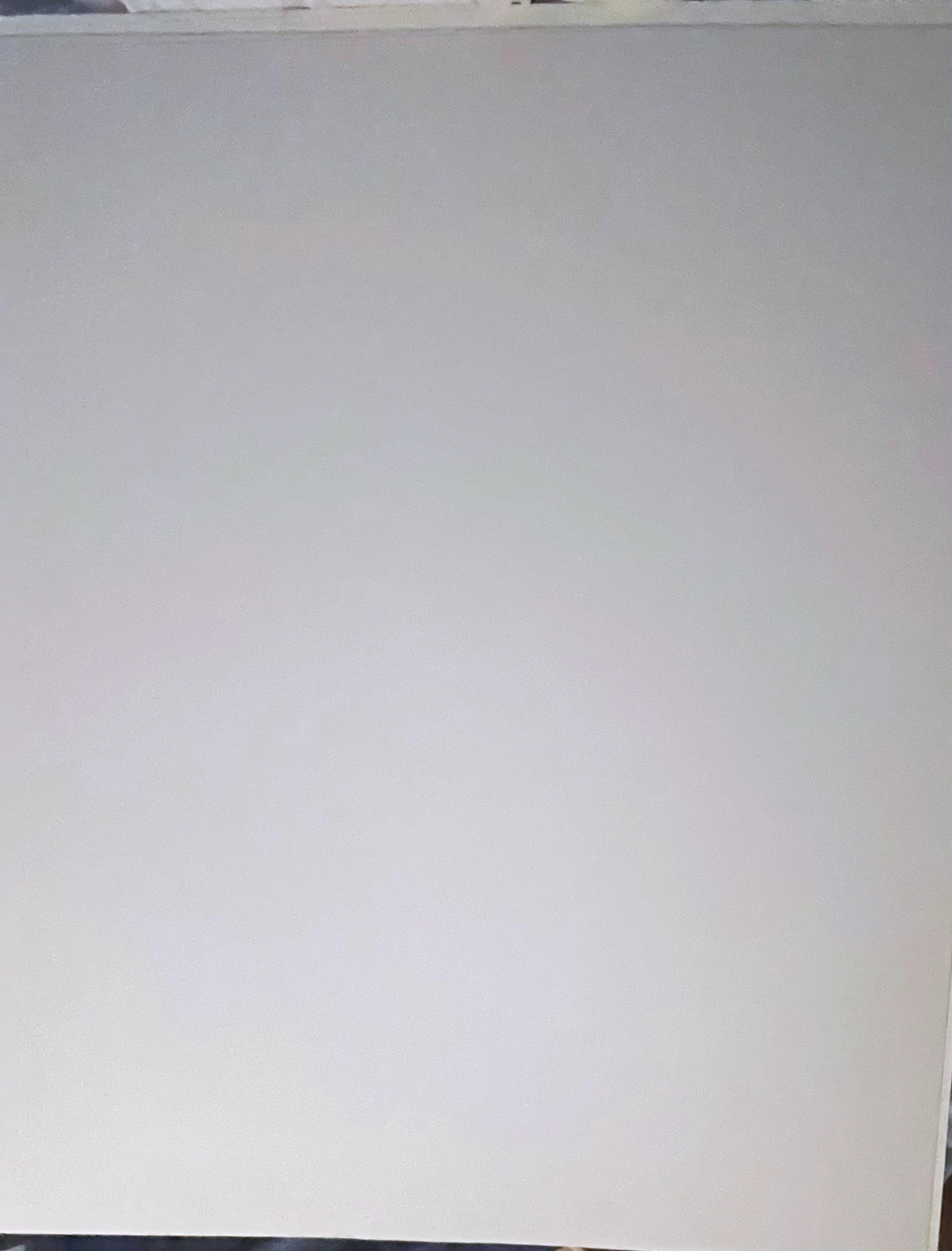 Robert Rauschenberg Human Rights Dinner signé, édition Pop Art de seulement 100 exemplaires 4