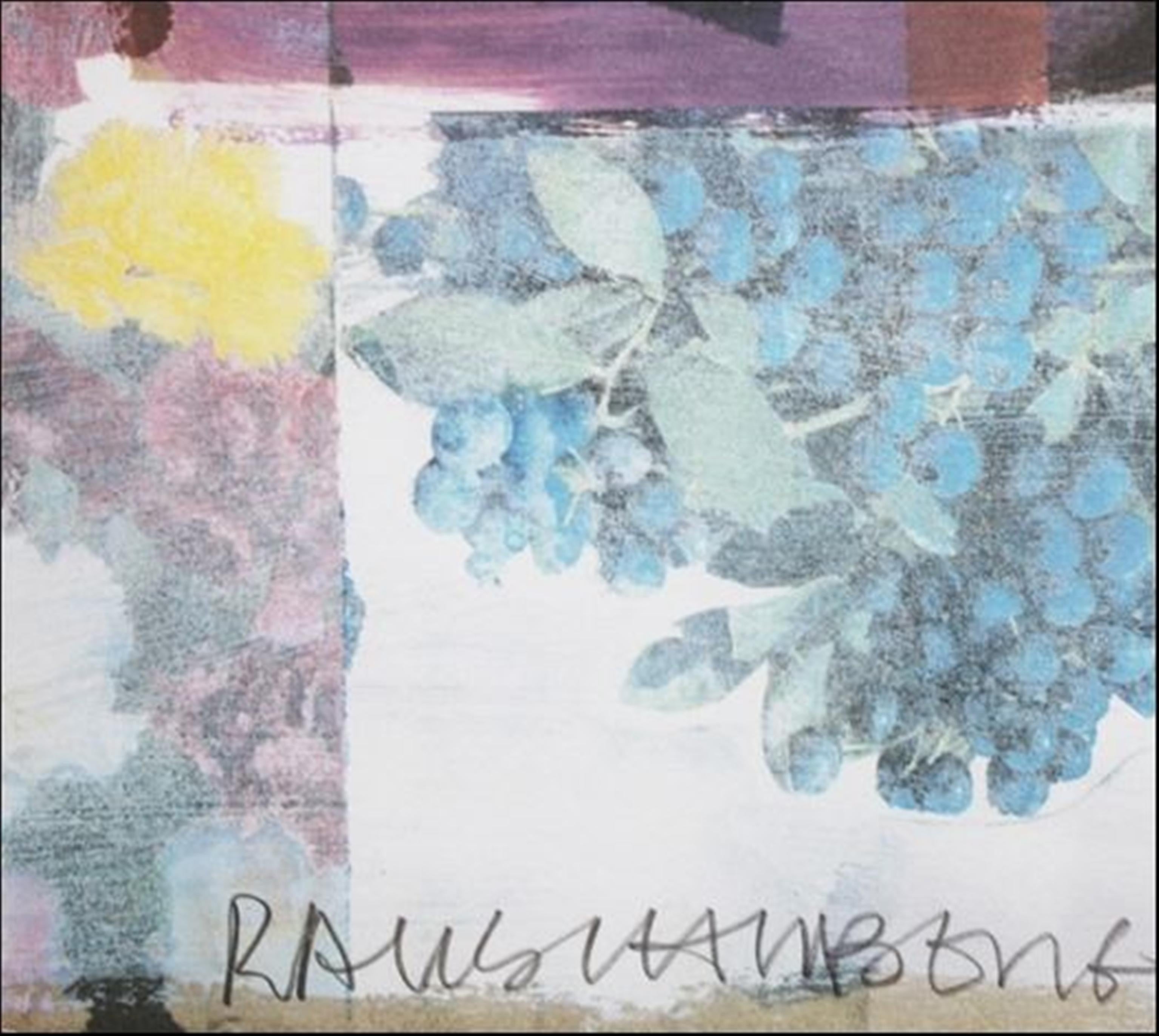 Robert Rauschenberg International Very Special Arts Festival Litografia firmata/N in vendita 1