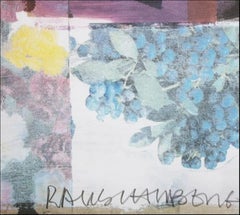 Robert Rauschenberg International Very Special Arts Festival Lithograph Signed/N