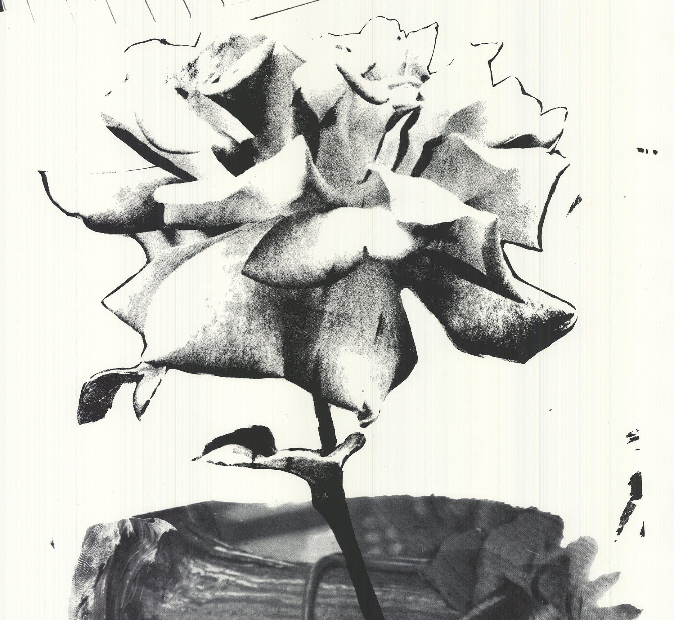 Robert Rauschenberg 
