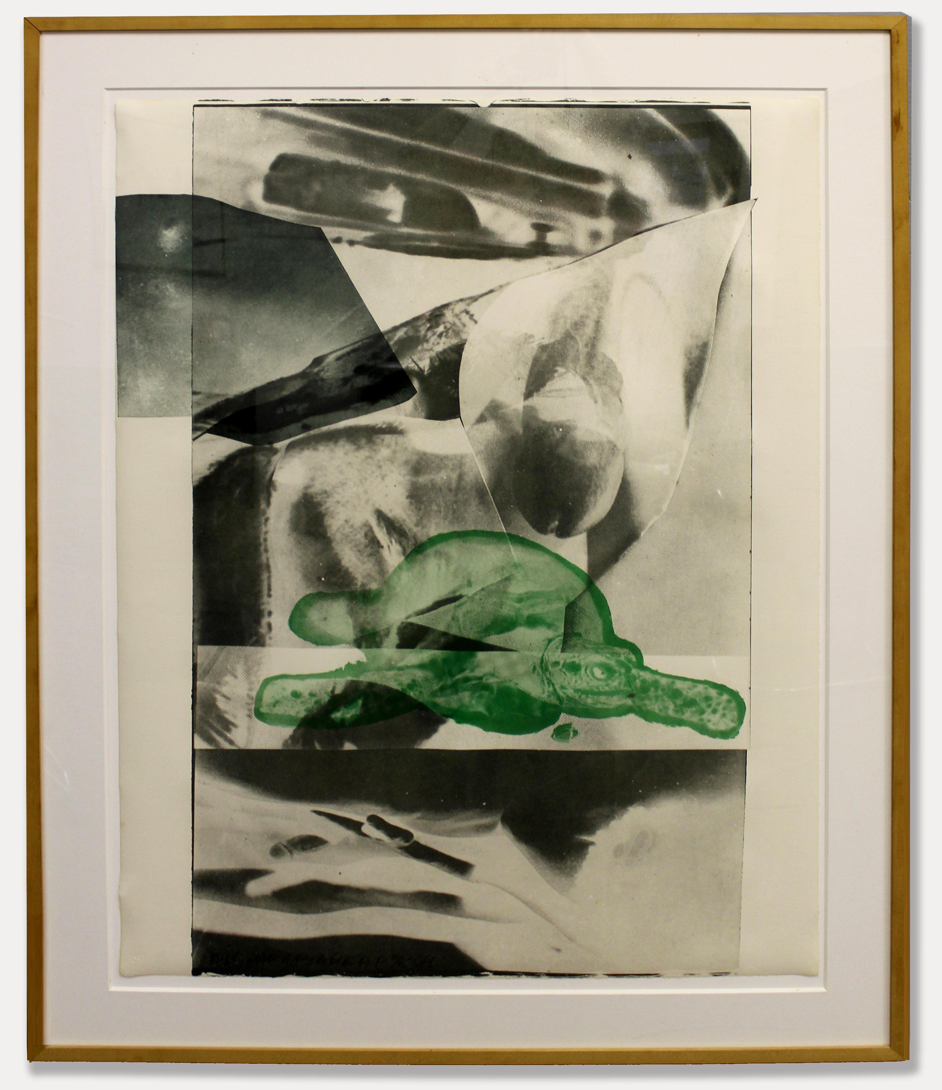 rauschenberg skeleton lithograph