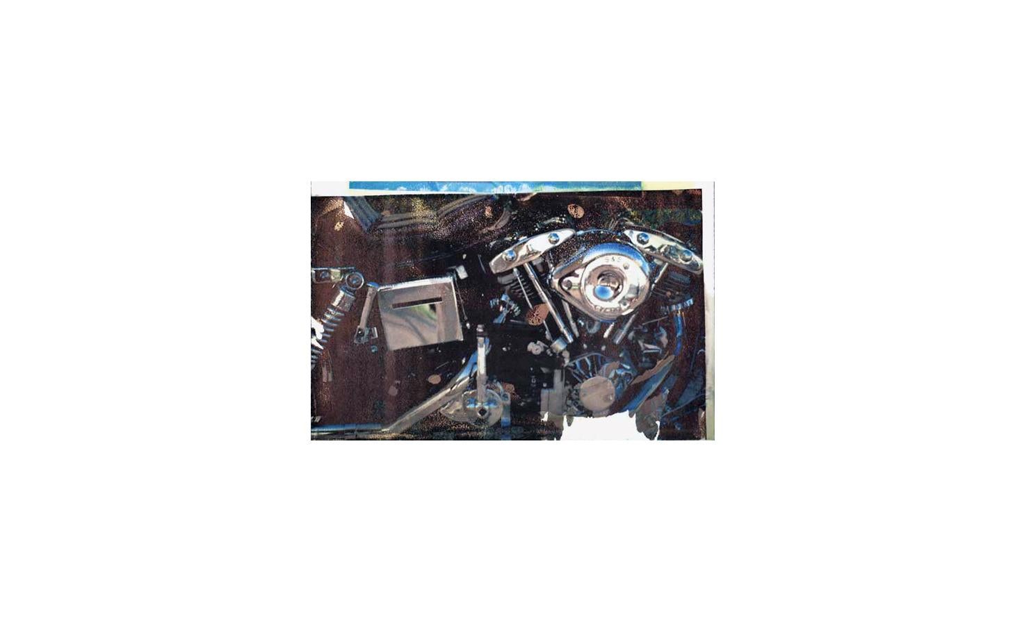 Sports - Contemporary Print by Robert Rauschenberg