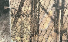 Tribute 21 (Human Rights), Robert Rauschenberg