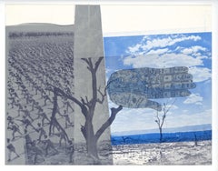 "Wart" original lithograph