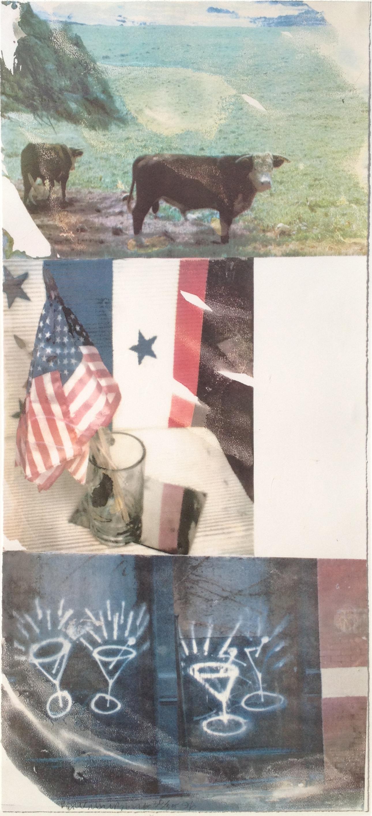 Witness (Speculations); 1996; Screenprint; 68 1/2 x 31 1/2 inches; Edition of 55 - Print by Robert Rauschenberg