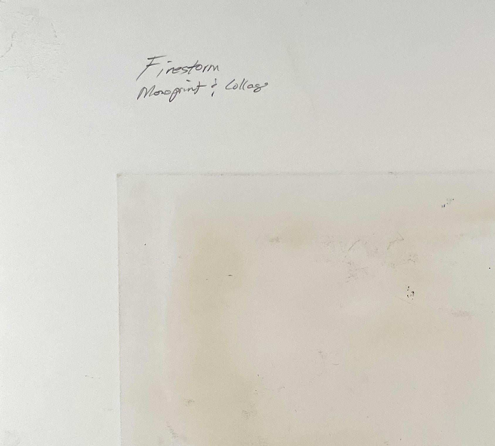 Firestorm, by Robert Roach For Sale 4