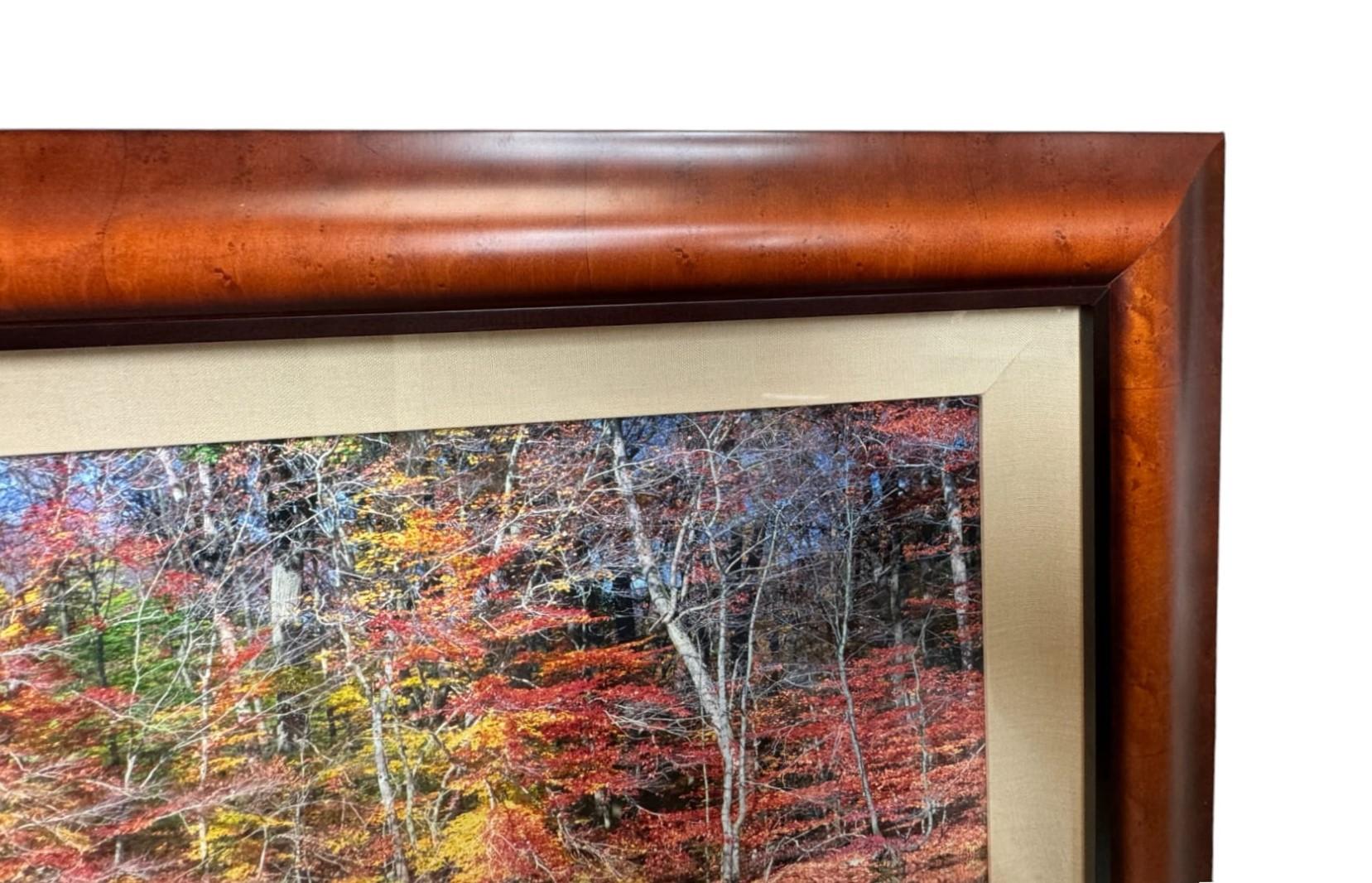 Robert Salisbury Knight Panoramafotografie, „Fall Lake Reflections“, gerahmt (21. Jahrhundert und zeitgenössisch) im Angebot